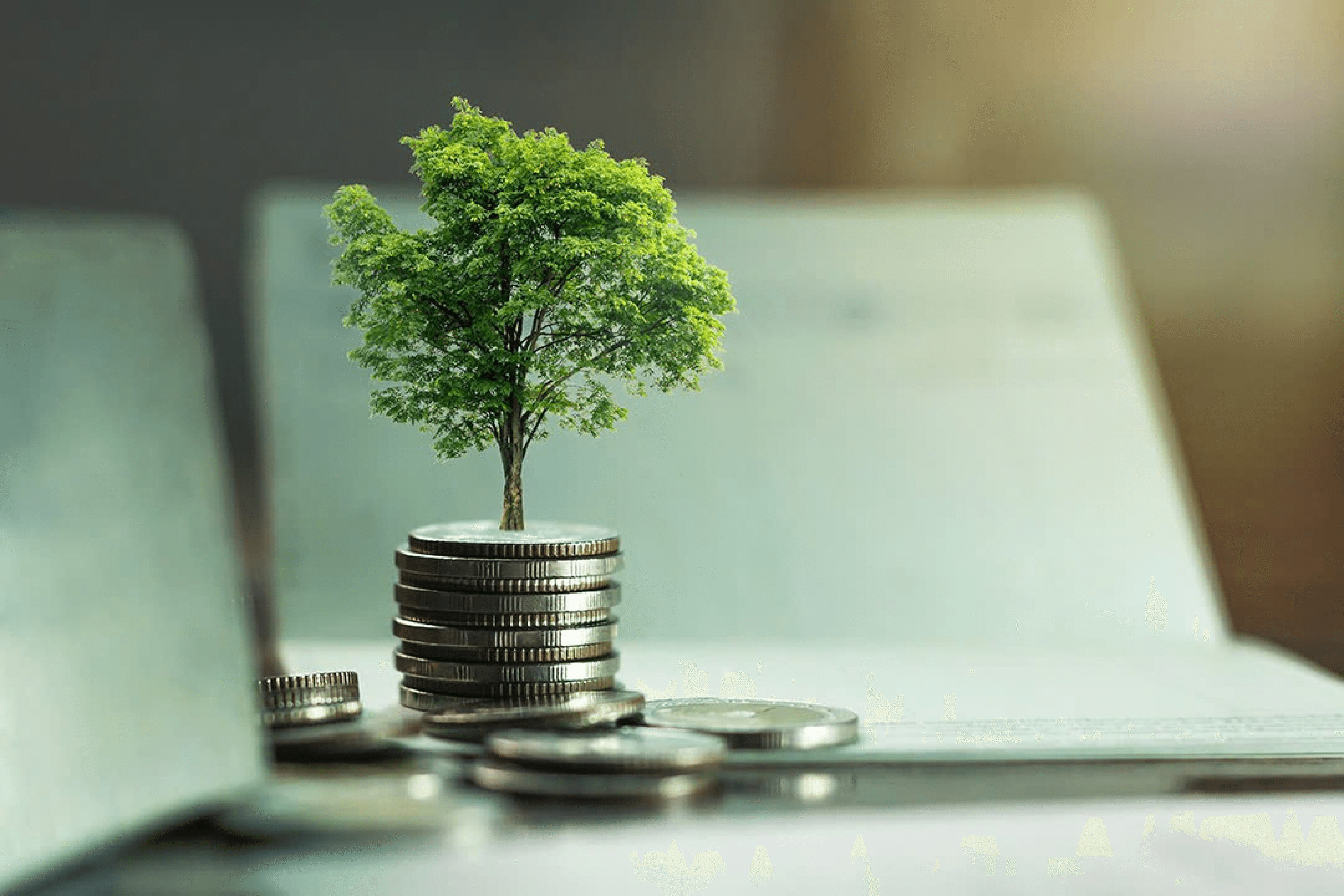 Vietnam’s Government Policies Supporting Green FDI